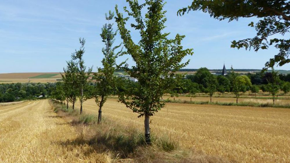 © Ana Cassigneul/GFA